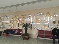 -河北医科大学第四医院(本部)