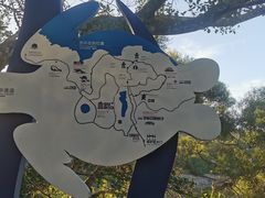 -广东惠东海龟国家级自然保护区
