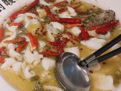 -宋小谨(惠安禹洲店)