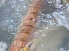 -凯华海鲜火锅·传承三十六年