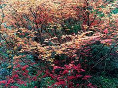 -雁荡山风景名胜区