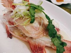 -东国海鲜火锅城(氹仔店)