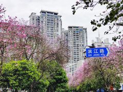 -柳侯公园