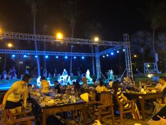 -渔家火锅·海鲜自助餐·演艺(亚龙湾天域酒店)