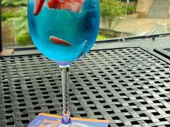 -bluefrog蓝蛙(皇庭广场店)