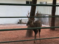 -广东茂名森林公园