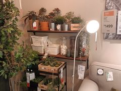 -宜家家居(哈尔滨商场店)