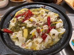 -楼上大排档·顺德菜·粥水·鱼生(苗栗路店)
