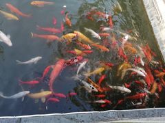 -芜湖方特东方神画