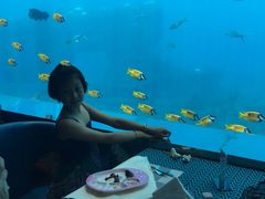 -瑞德姆美人鱼海底演艺主题餐厅(亚龙湾店)