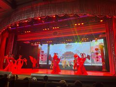 -金东尼人妖秀