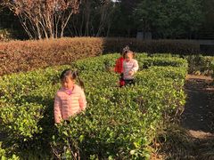 -南京市栖霞区亚东城幼儿园