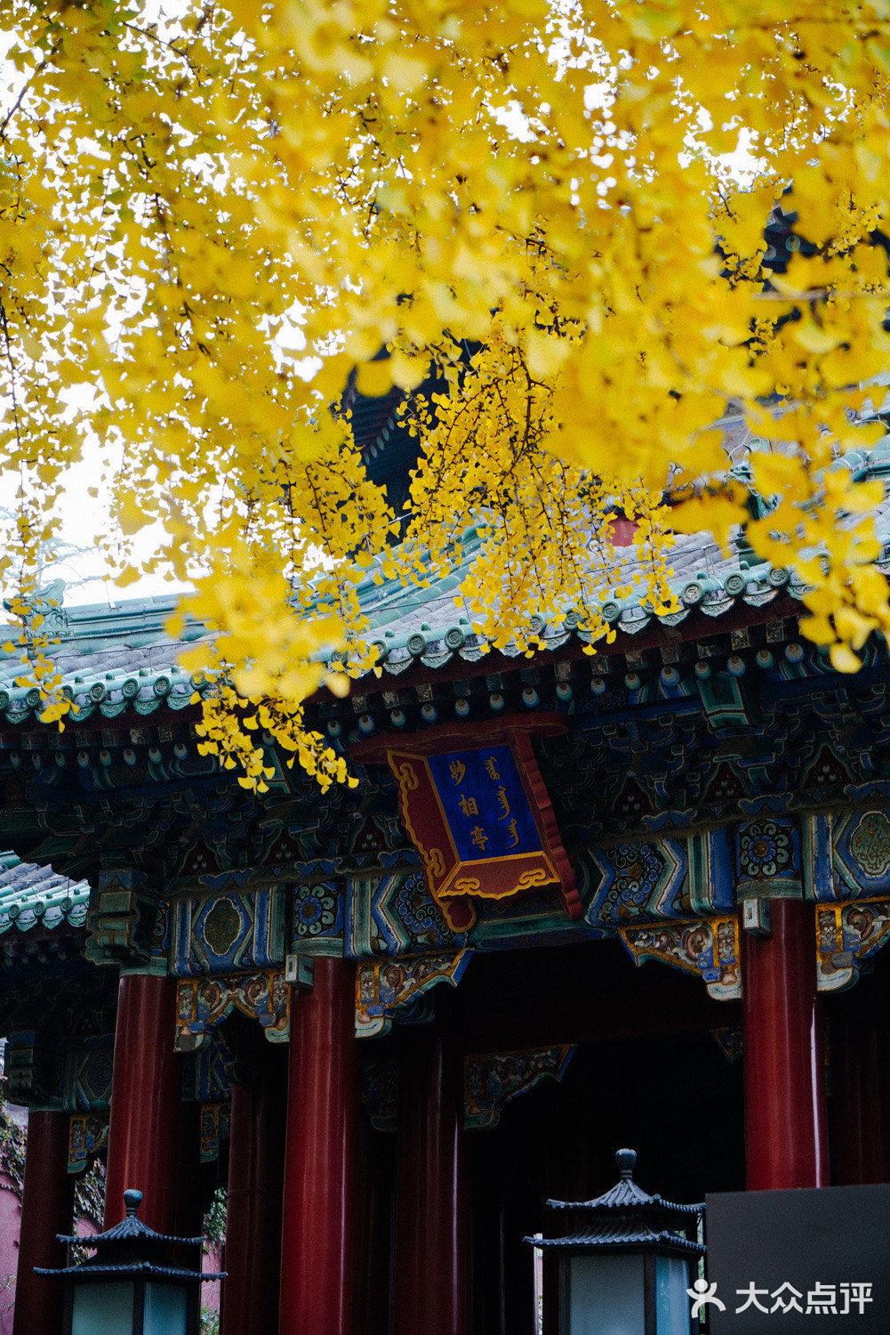 北京｜宝藏北海公园｜赏秋机位推荐