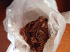 -水一方现烤鱿鱼丝大连特产(高新苏宁百货店)