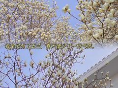 -睦南公园