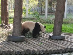 -西安秦岭野生动物园