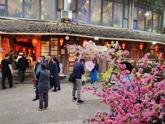-田园印象·成都土菜院子(华阳店)
