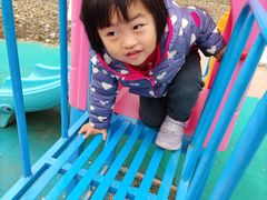 -草根堂农场