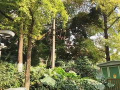 -成都市活水公园
