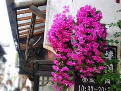 -阿东农家菜(新场古镇下塘街店)