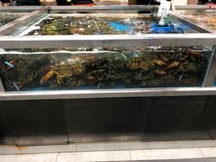 -盒马鲜生(大成店)