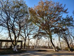 -紫金山山顶公园