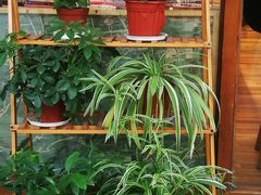 -猫的天空之城概念书店(杭州南宋御街店)