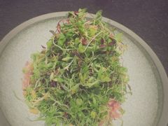 -三利音·浦之舟(滨江大道店)