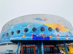 -海合安青岛极地海洋公园