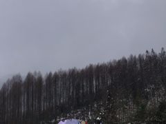 -西岭雪山大飞水景区