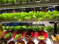 -新食谱全日制餐厅·苏州苏州湾艾美酒店