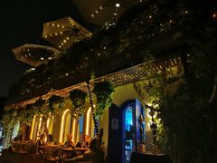 -Sirena海妖日咖夜酒