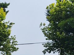 -银沙滩浴场