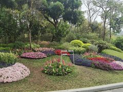 -云溪植物园