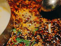 -味之绝·美蛙鱼头火锅(科巷店)