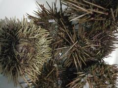 -塔湾北行农贸市场