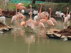 -宁波野生动物园