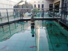 -陕西自然博物馆