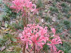 -海合安武汉极地海洋公园