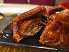 -清新鸡沙田乳鸽店(金融店)