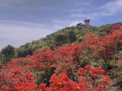 -瑞安圣井山景区