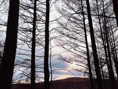 -阿尔山市大兴安岭奥伦布坎景区
