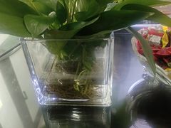 -张钰强中医正骨推拿连锁(华发商都店)