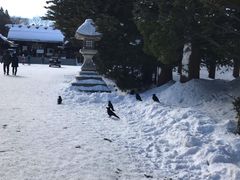 -北海道神宫