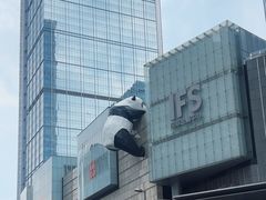 -成都IFS