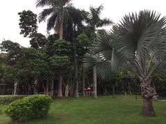 -同德公园