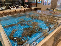 -新丁香海鲜酒店(银海商贸城店)