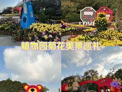 -南山植物园