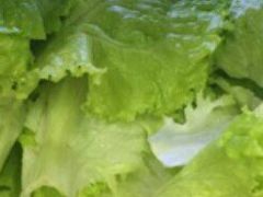 奶白菜-刁四藤椒麻辣烫(良村开发区店)