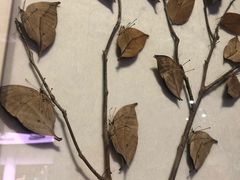 -陕西自然博物馆